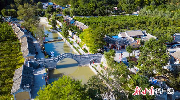 黑马跨栏一飞冲天,甘肃泾川县黑马