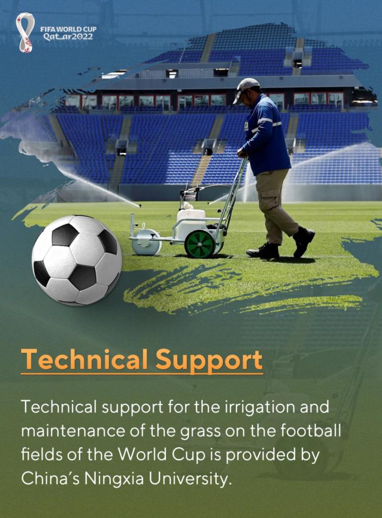 一起看世界杯2022比赛,一起看世界杯2022奥运