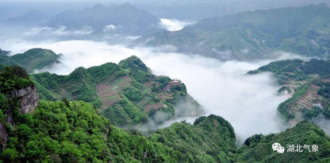 湖北襄阳天然氧吧,湖北哪些地方被评为天然氧吧