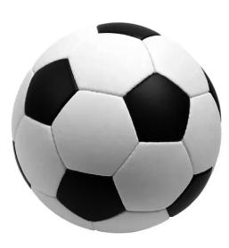 为什么世界杯这么吸引人,关于世界杯的书籍