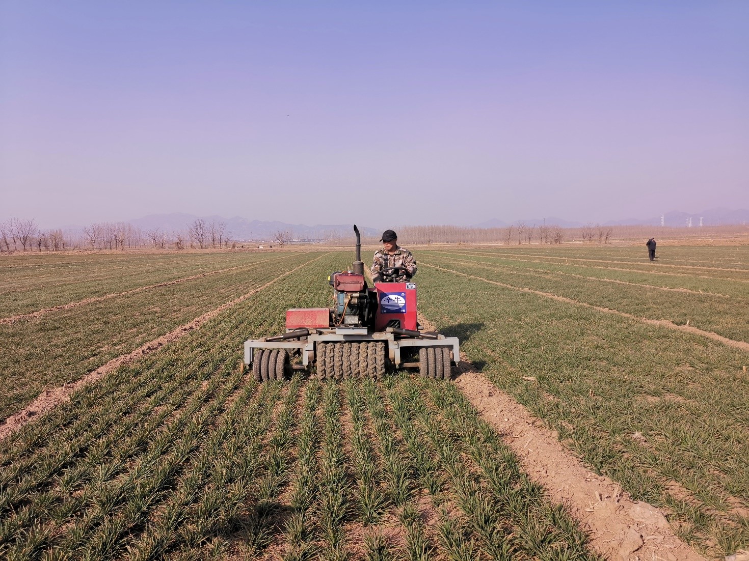 农科视窗（33）|碌碡，那些年月常用的农具