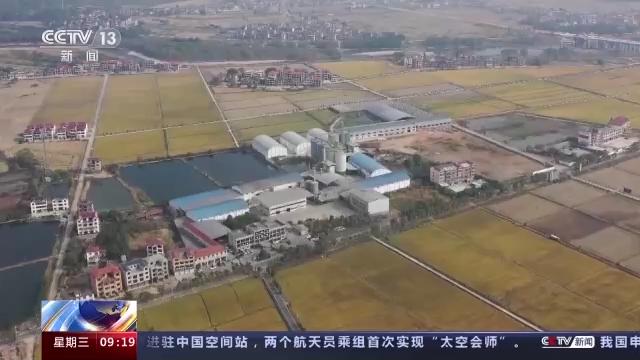 粮食全链条减损包括哪些环节,中国粮食生产取得重要成就