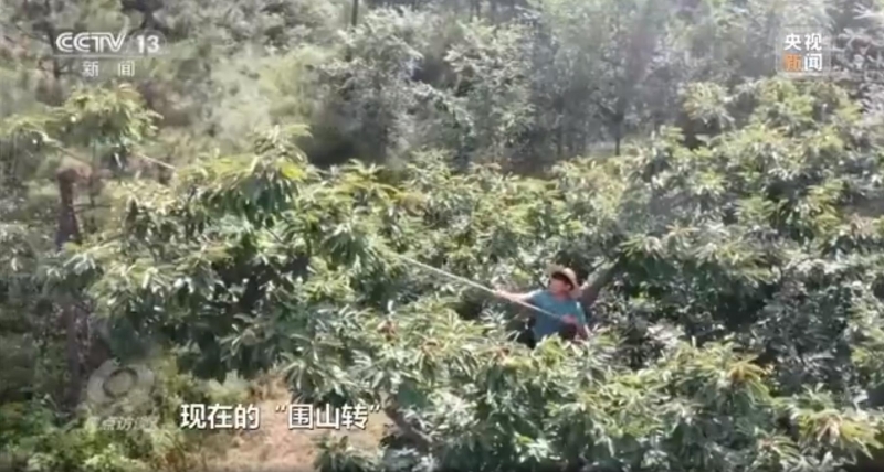 久久为功努力改善人居环境,筑绿色长城生态屏障