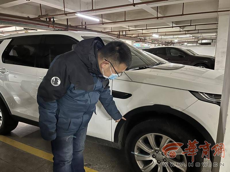 夜晚流浪猫撞倒电动车找物业理赔,流浪猫损害车辆找投喂人赔偿