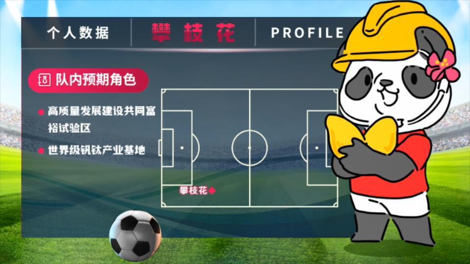 鍥涘窛鐪佸鍏ㄤ細,鐪佸鍏ㄤ細鍥涘窛