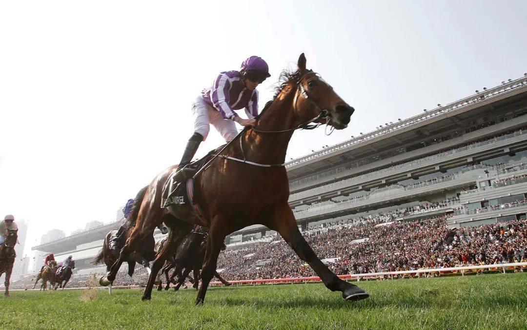 “加州星球”能否打败“金枪六十”？