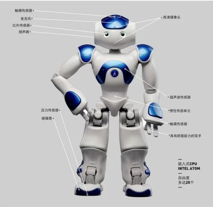 高校心理学实验室,武汉大学哲学学院心理学