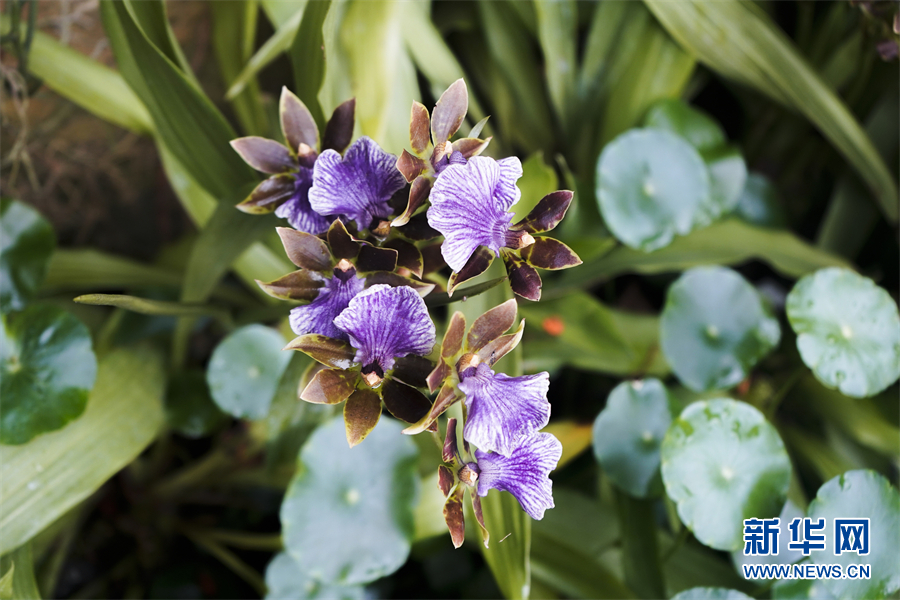 七一时评最暖人的话,年轻干部七一时评