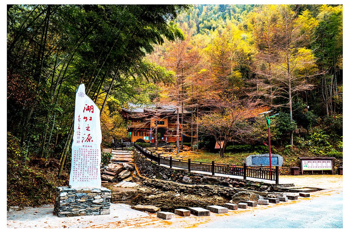 湖南红茶推荐品牌有哪些,湖南红茶十大名牌排行榜