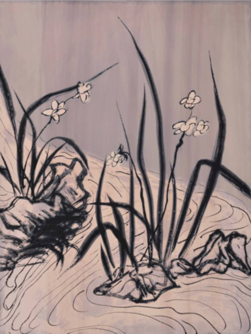 摄影收藏⑳｜金酉鸣：最应该被关注的是中国年轻艺术家的作品