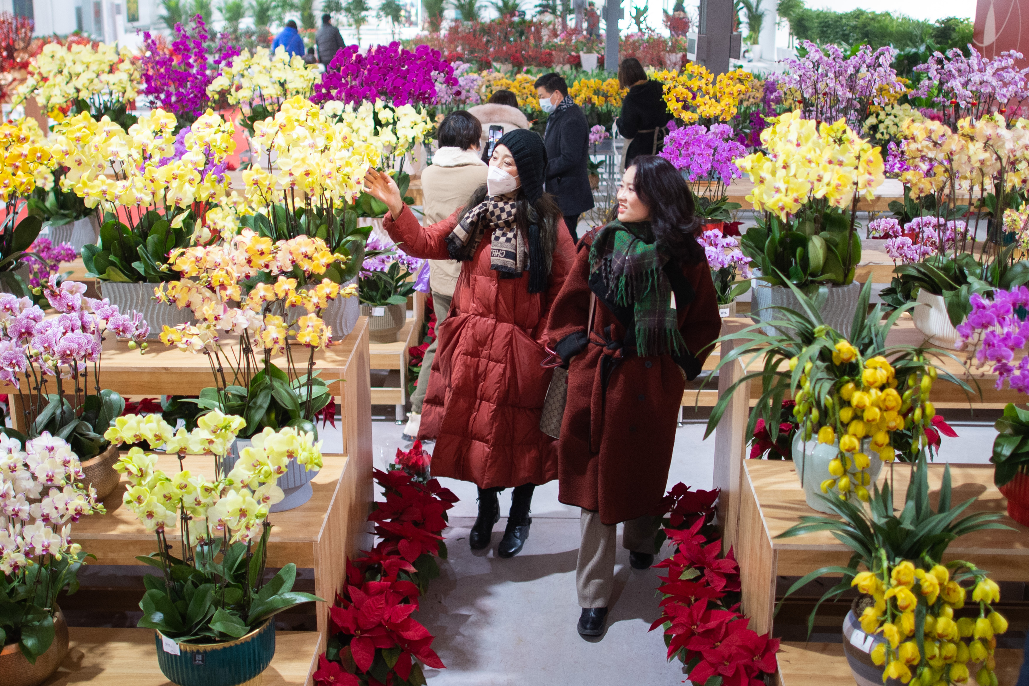 新华全媒辞旧迎新活力勃发,新华全媒减负纾困