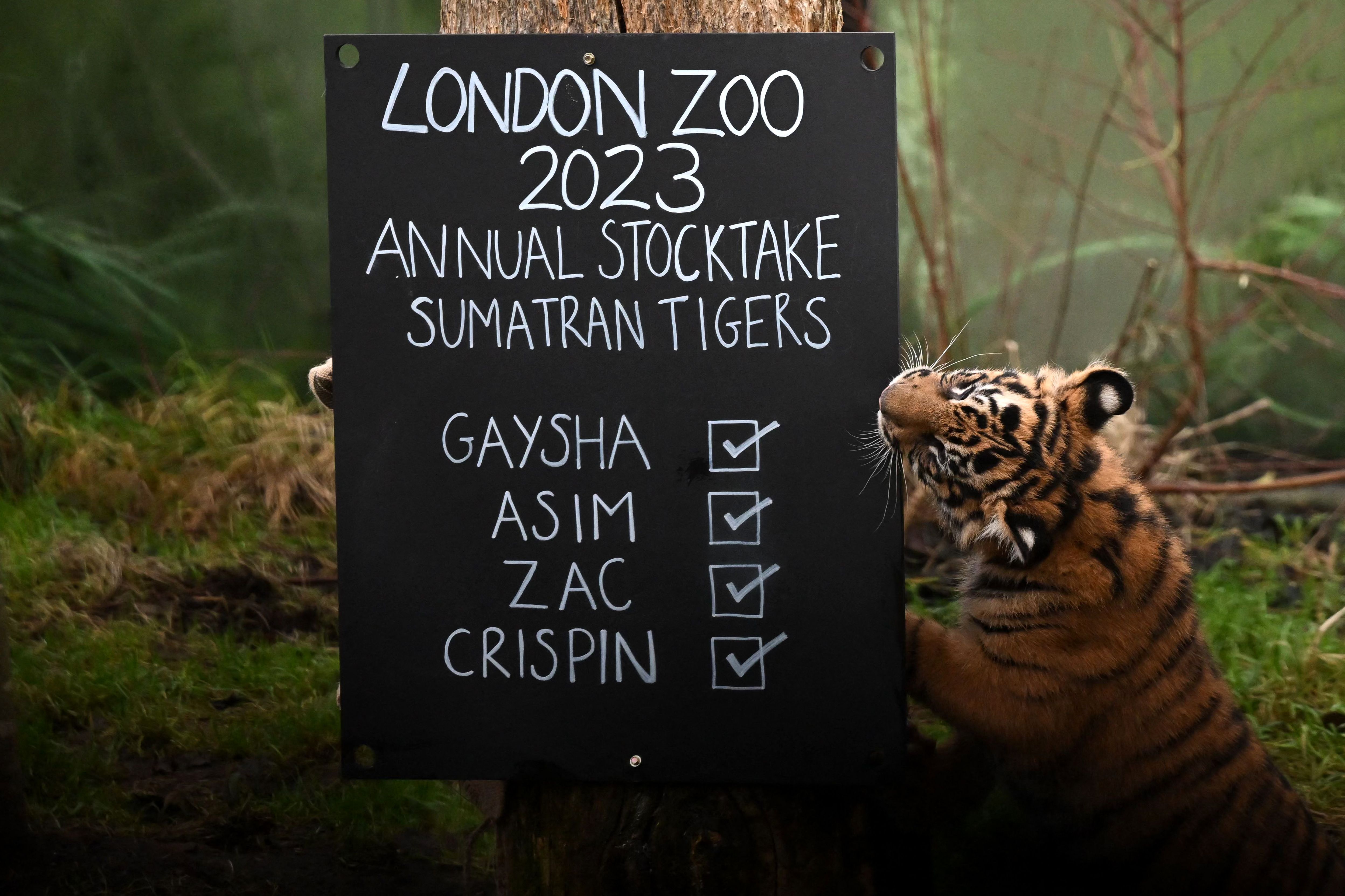 伦敦动物园动物大盘点,欧洲伦敦动物园