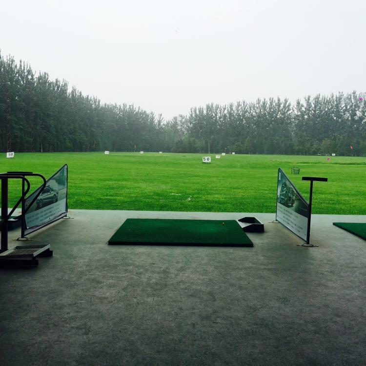 大小姐回公司送外卖,大小姐回家接管公司