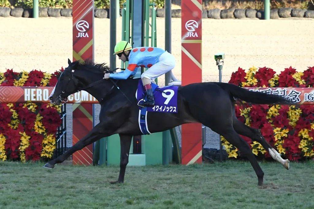 三岁赛驹“春秋分”赢足两个半马位，日本季末重头戏落幕！
