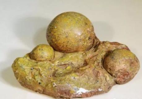 今天聊聊黔西南州的康养产品和美食（十三）