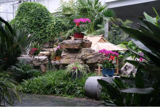 春节活动欢乐祥和过年,欢乐春节系列活动