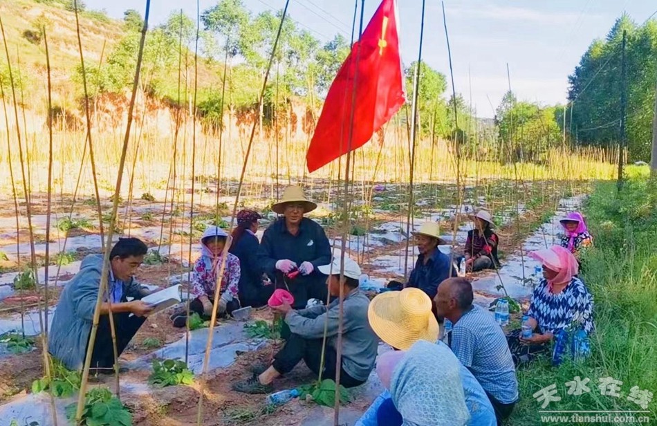 武山县重点工作会议,武山县乡村振兴四个一批