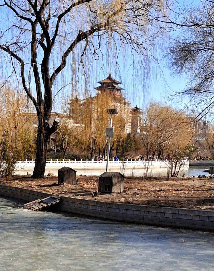 东北河流开冻,七九河会冻开吗