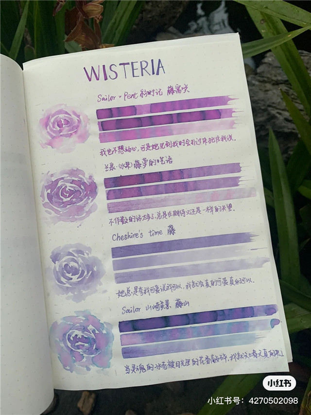 z世代的兴趣,z世代兴趣爱好