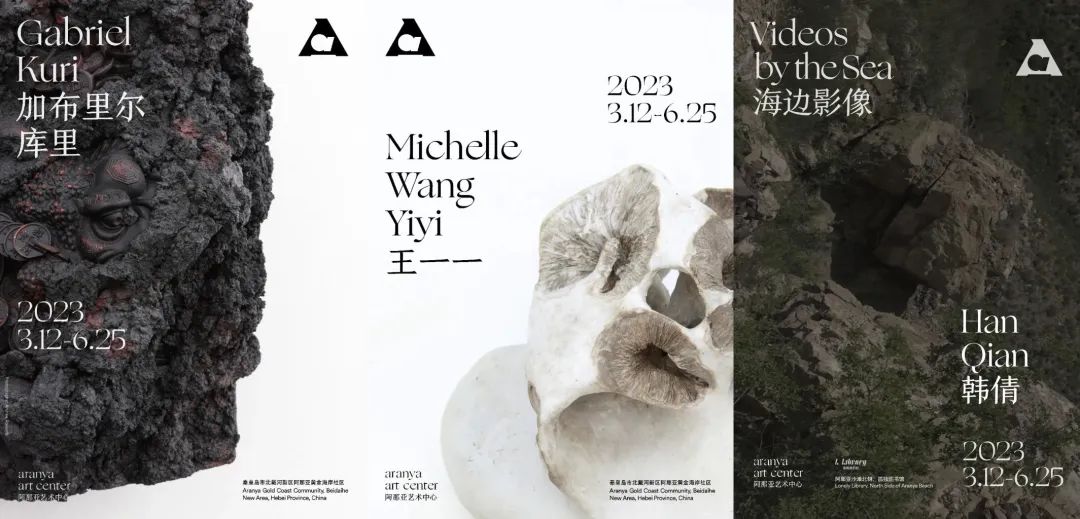 维米尔画展,荷兰维米尔展