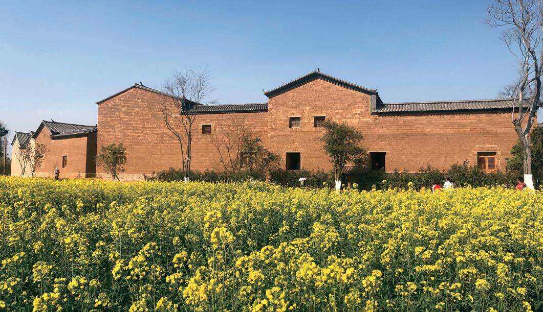 昆明王官湿地公园油菜花,昆明油菜花最佳路线图