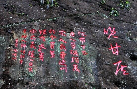 品味武夷山茶文化的理想之地,武夷茶文化历史简介