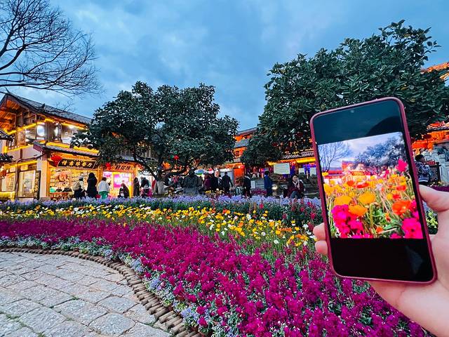 去四川5日游攻略,去云南和四川攻略