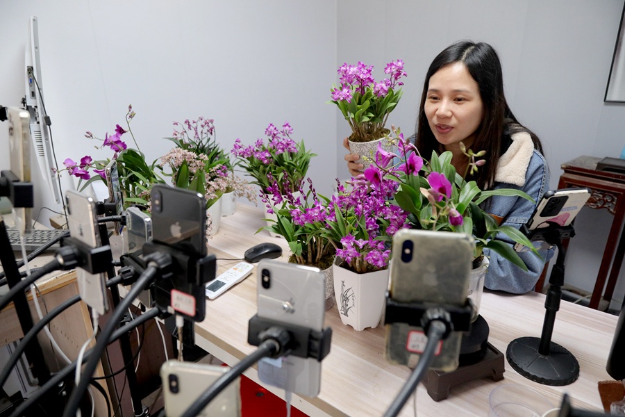 福建南靖兰花触“网”香飘致远绽放“美丽经济”