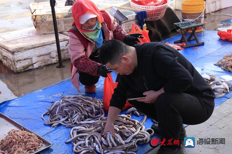 南姜码头现在有什么海鲜,实探海边最便宜的房子