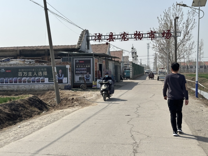 宠物线上代购主播背后的圈套：谁演得好谁就赚得多