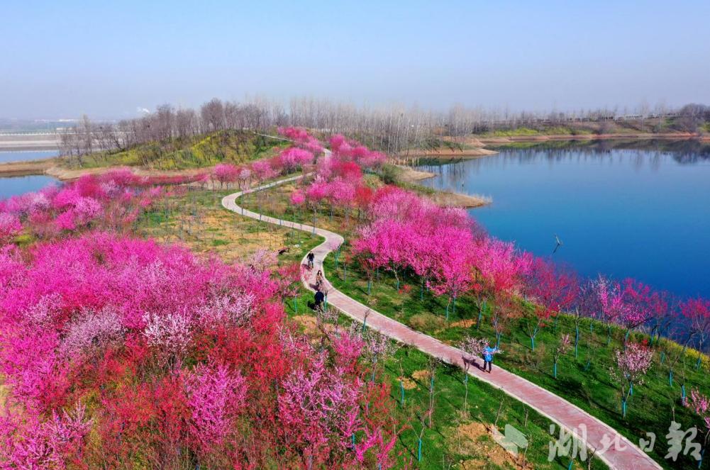 春风春雨春花盛开,春风莺飞草长陌上花开