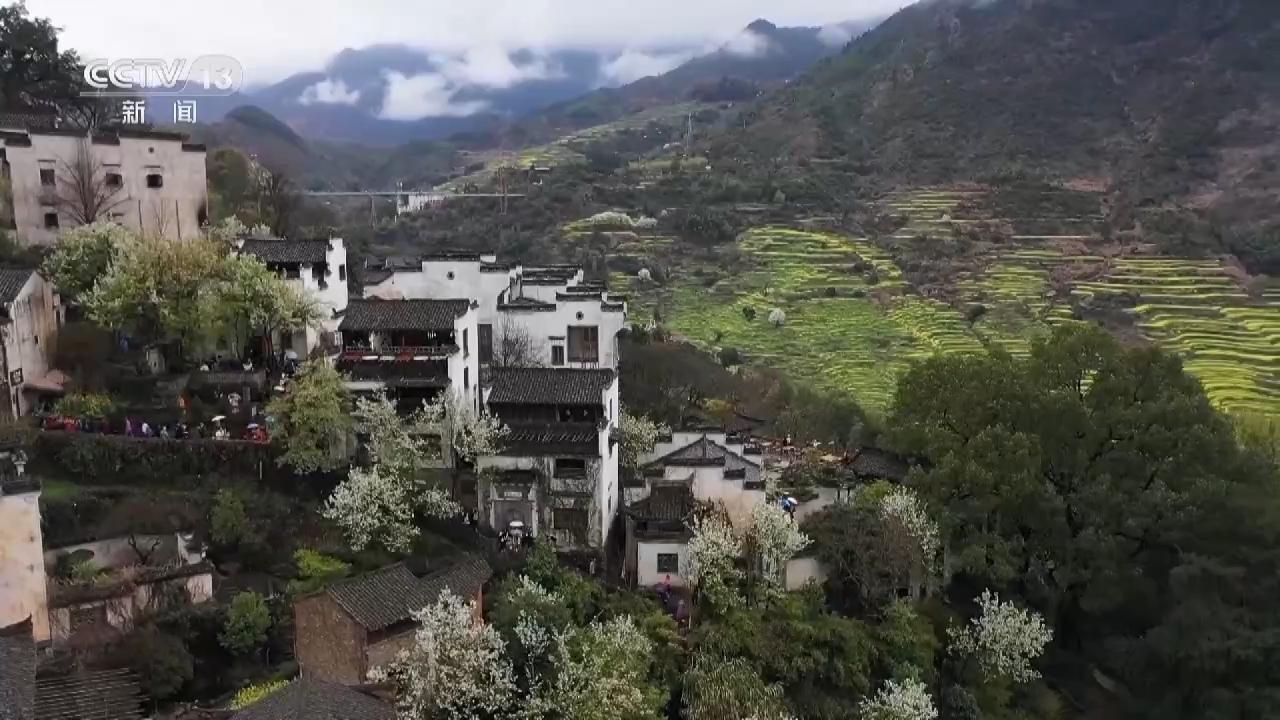 婺源人间仙境美如画,江西婺源云雾缭绕人间仙境