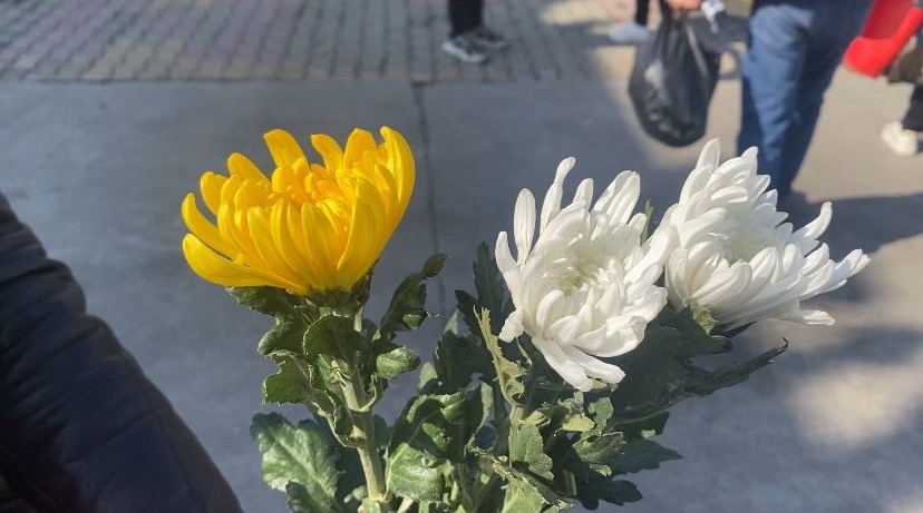 清明将至文明祭扫在行动,2020清明节文明祭扫