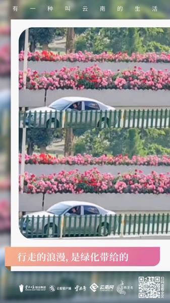 有一种治愈系风景叫云南的生活,有一种美叫云南的生活