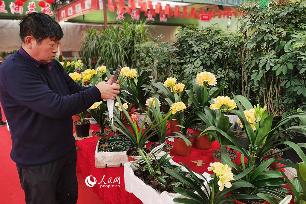 春天花“卉”开朵朵含情迎客来