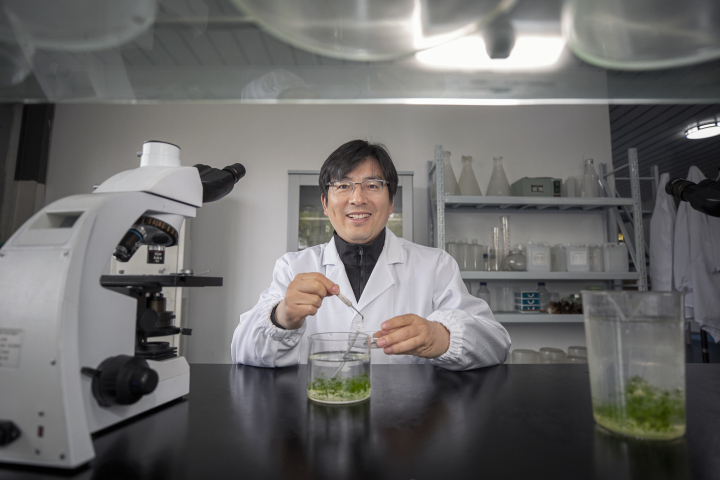 感受大海的馈赠赶海抓海鲜的乐趣,海边赶海收获的更多海鲜