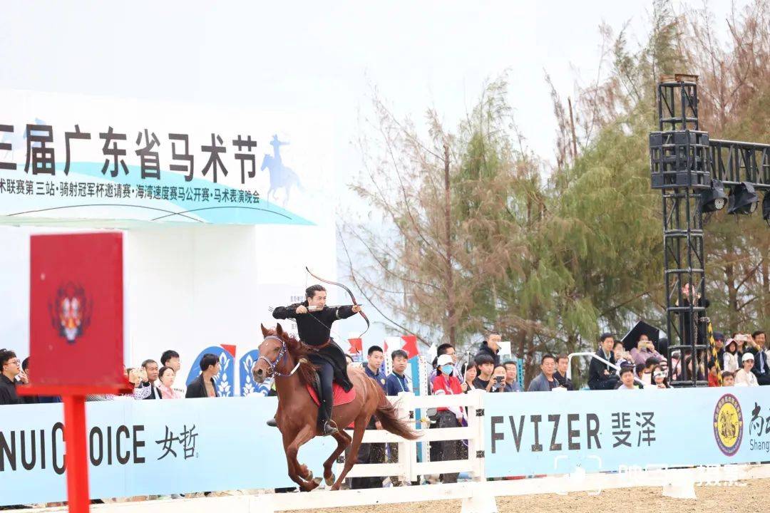 第三届广东省马术节获奖名单,第三届广东省马术比赛