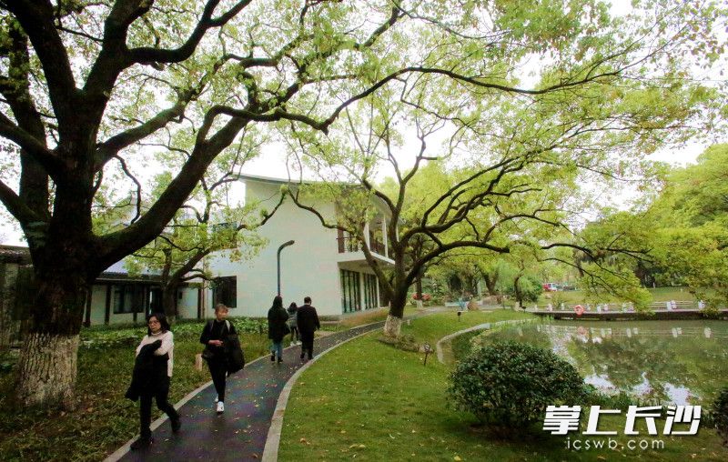 芳草园手绘地图,芳草优美落英缤纷图片