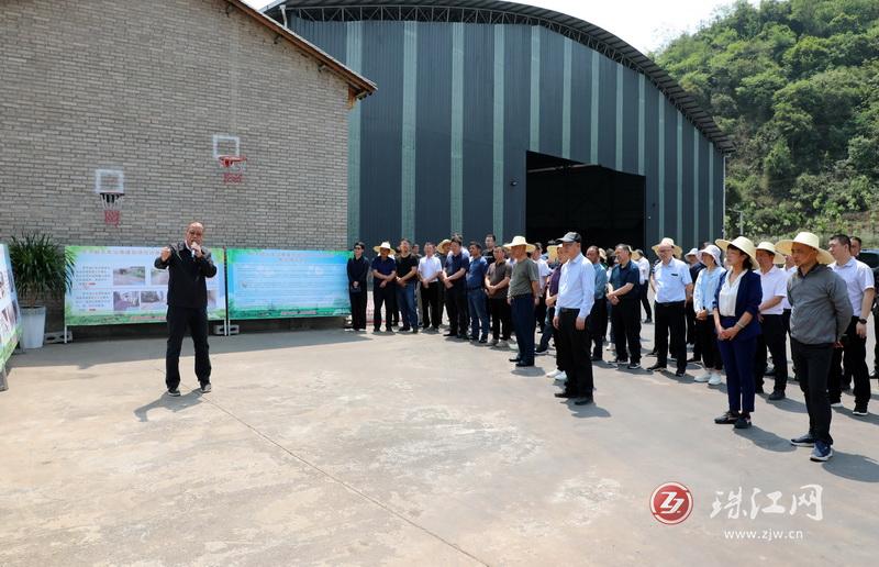 罗平最新工程项目规划,罗平即将开建的项目