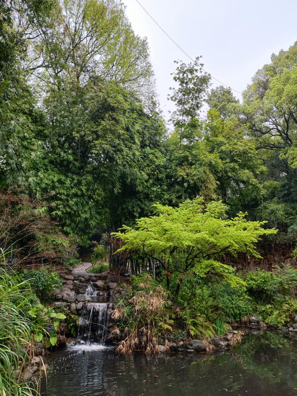 长沙网红必去的景点,网红景区推荐长沙