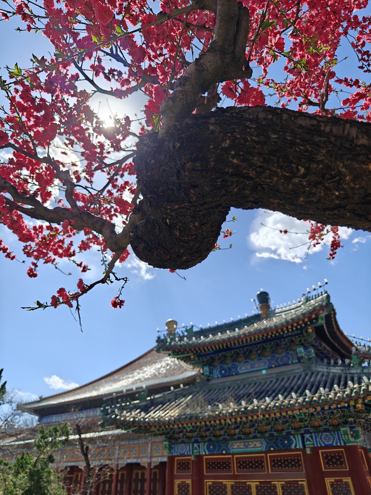 oppofindx6pro,oppofindx6pro鐪熷疄浣撻獙鎷嶇収