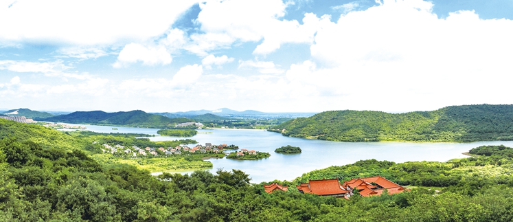 《破局乡村振兴》的金句,破题乡村振兴