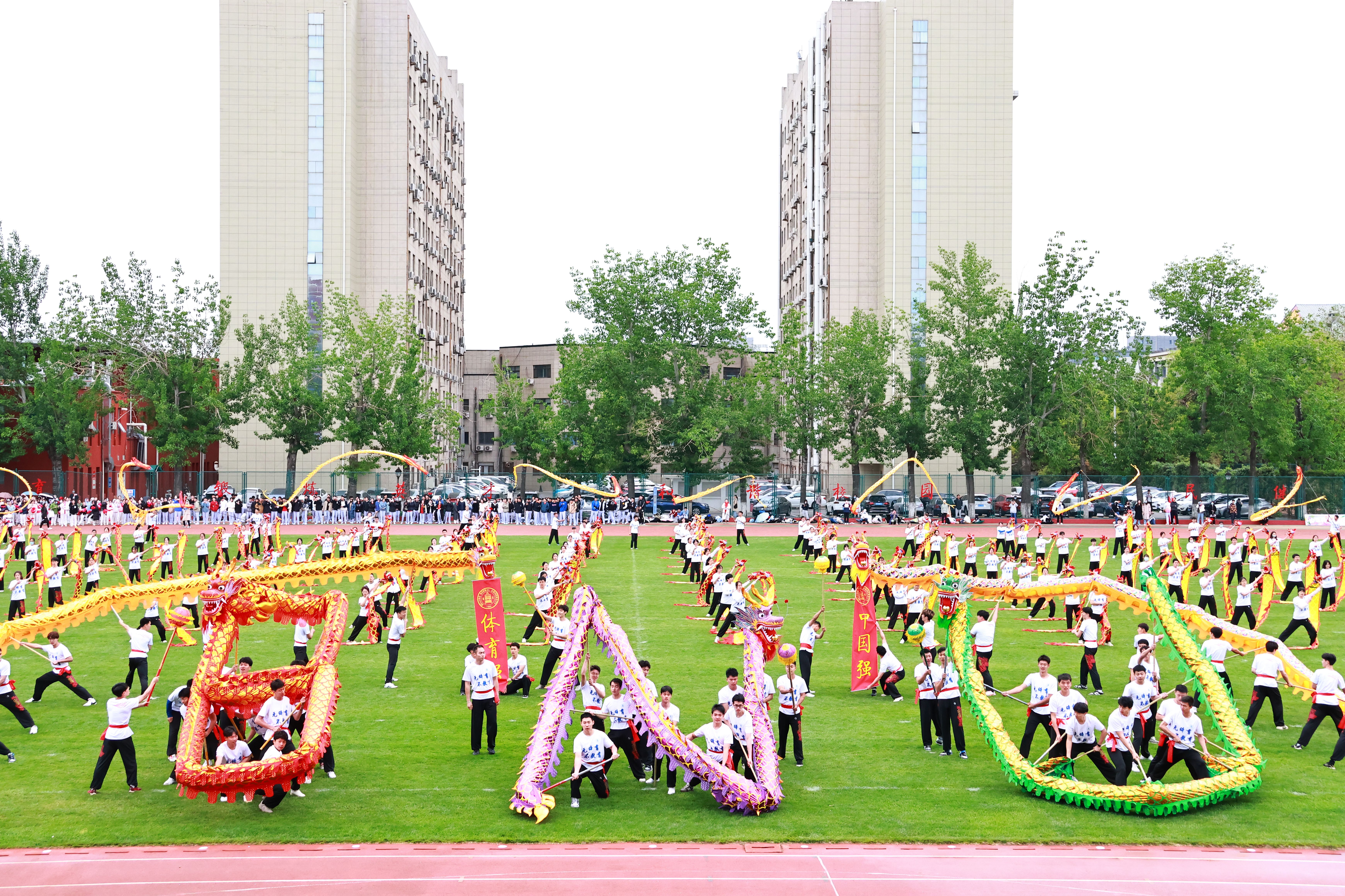 北京师范大学举办比赛,北京师范大学奥运会开幕式