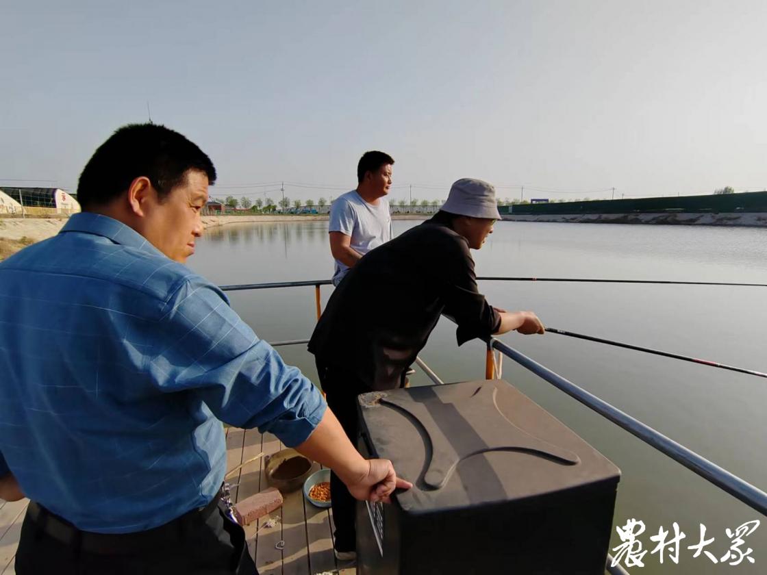 骑“驴”看样本|农业园未开先“火”！盐碱地村民吃上“旅游饭”