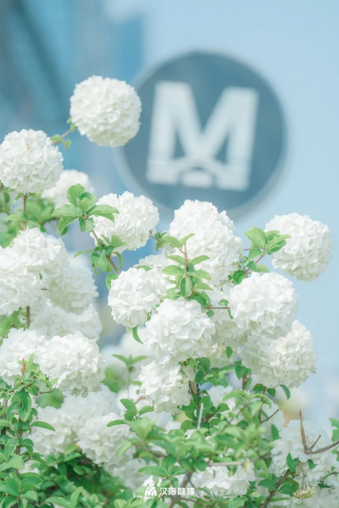 汉口旅游必去打卡地,汉阳带娃旅游攻略