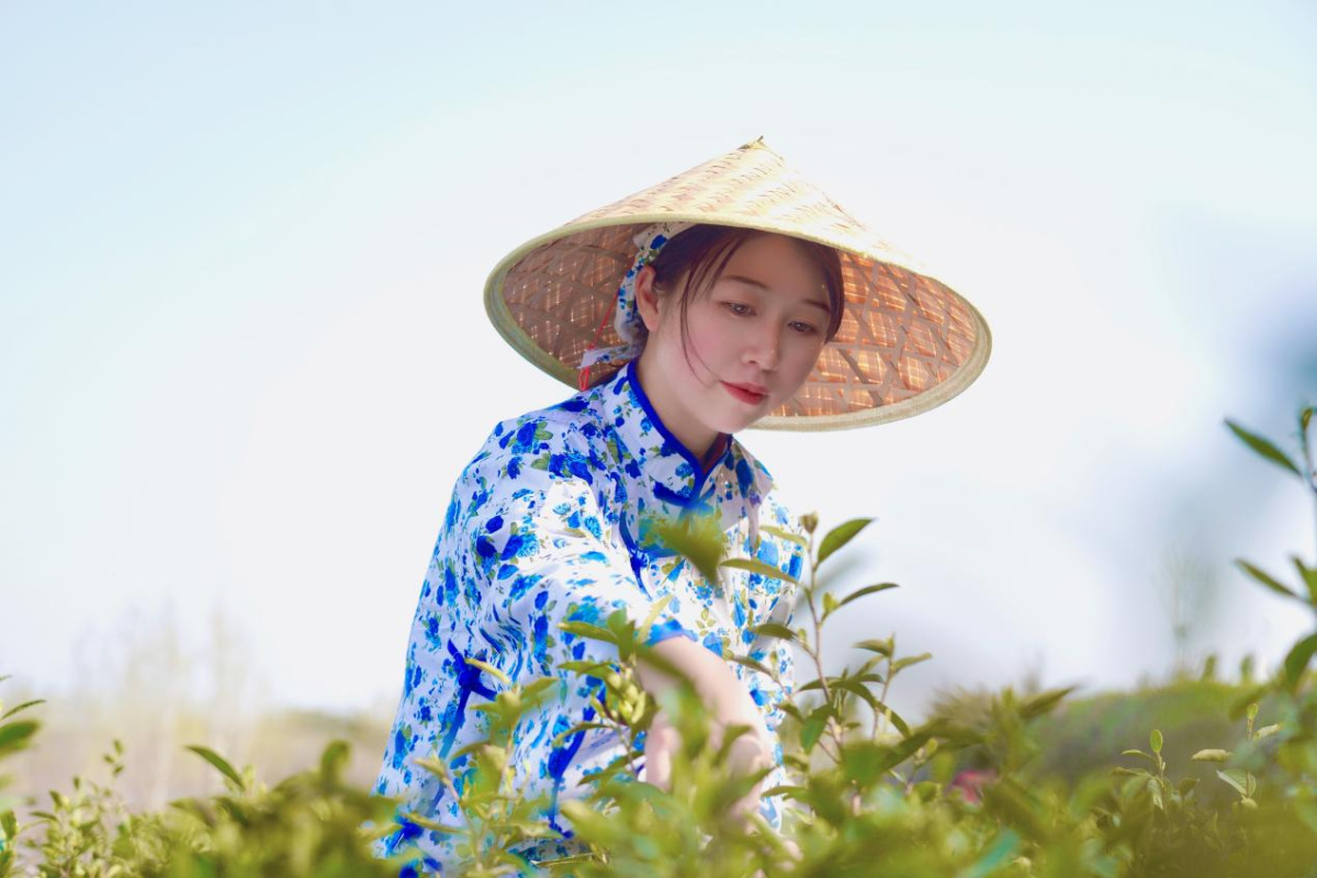 致敬劳动者┃情系南阳家乡的青年创业者谢欣:通过一方茶园助力乡村振兴