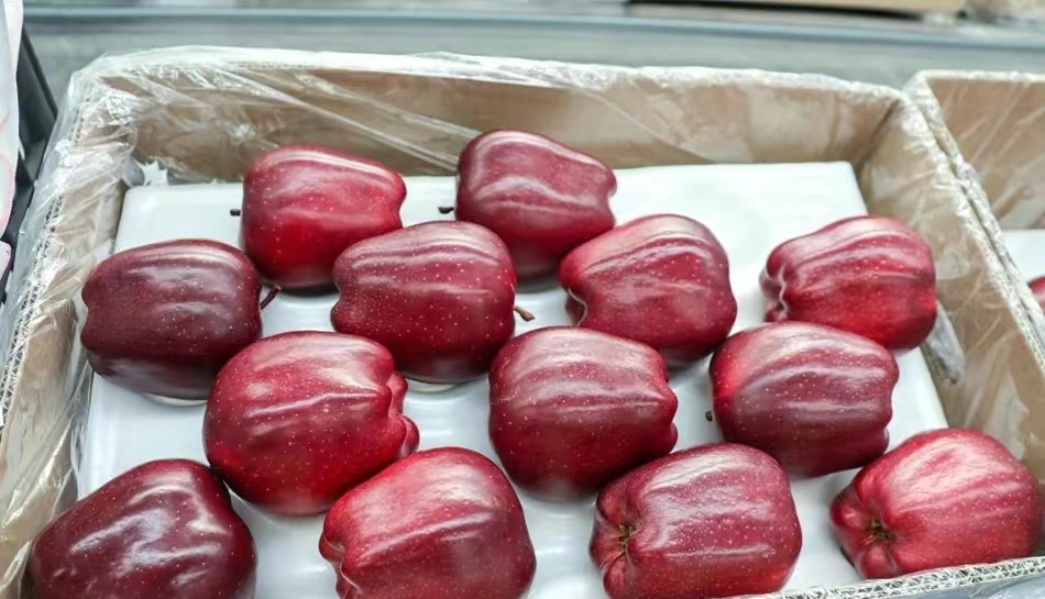 三十年在长三角成就了西北苹果的传奇——蔡二成和他的雪原牌苹果