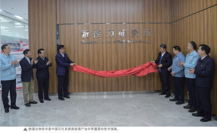 微藻能积累什么,微藻培养的好处