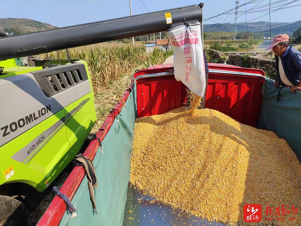 e视野眼镜店,e视野