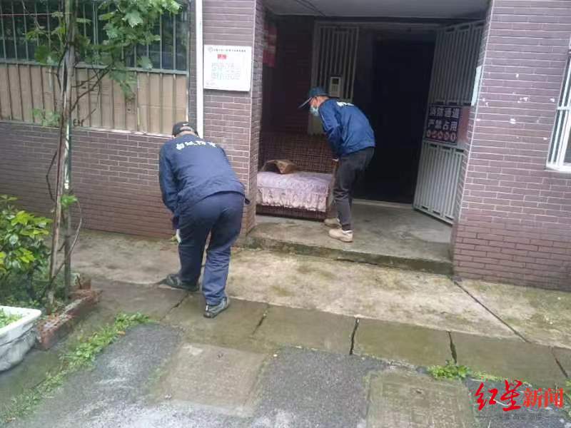 农村家里满屋飞虫,房间里有黑色小飞虫硬壳怎么办